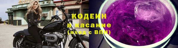 PSILOCYBIN Кодинск