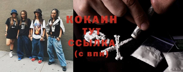 PSILOCYBIN Кодинск
