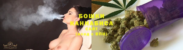 PSILOCYBIN Кодинск