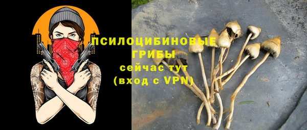 PSILOCYBIN Кодинск